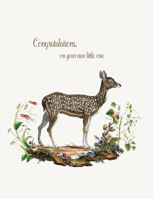 Congratulations On Your New Little One (Deer)