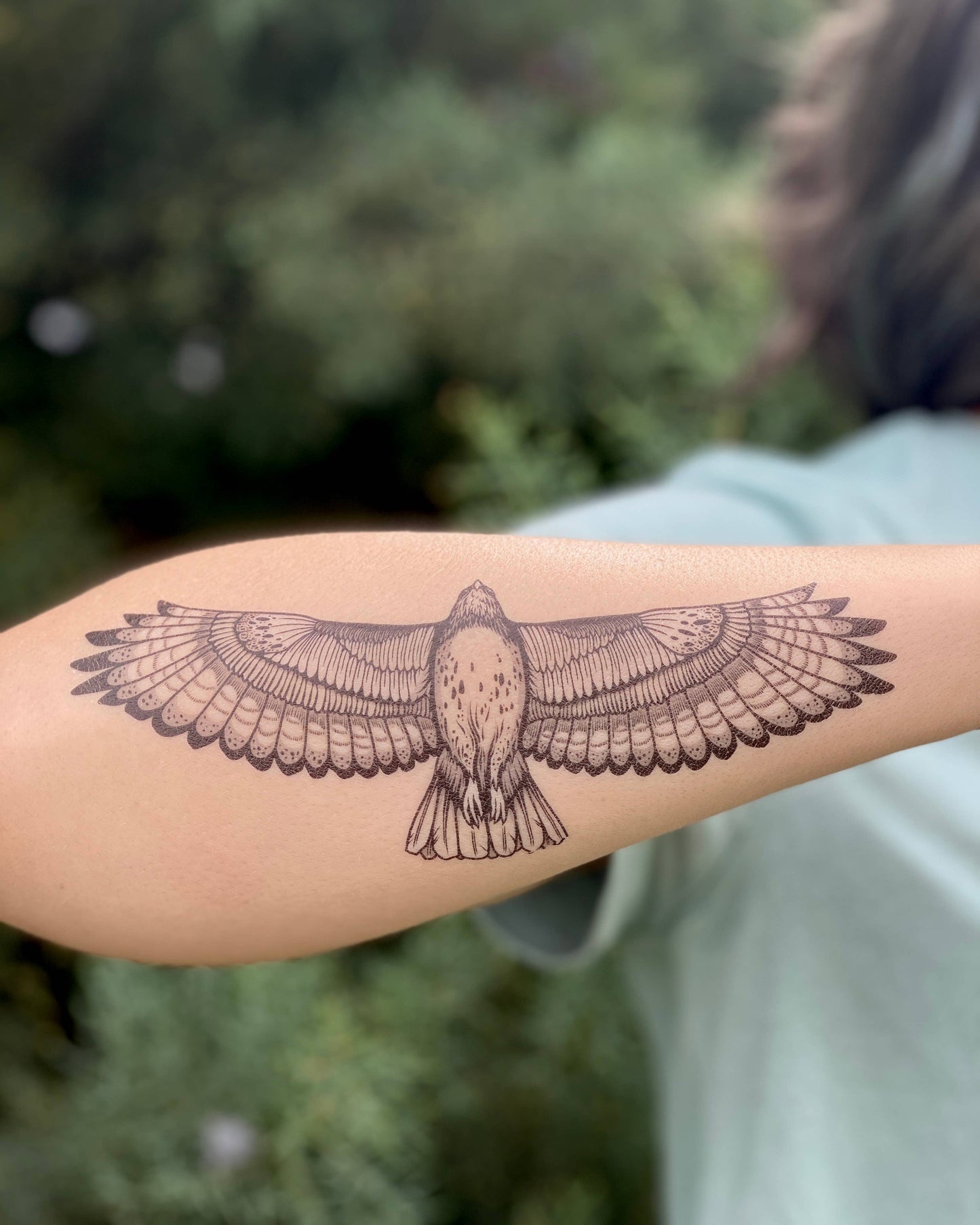 Hawk Temporary Tattoo