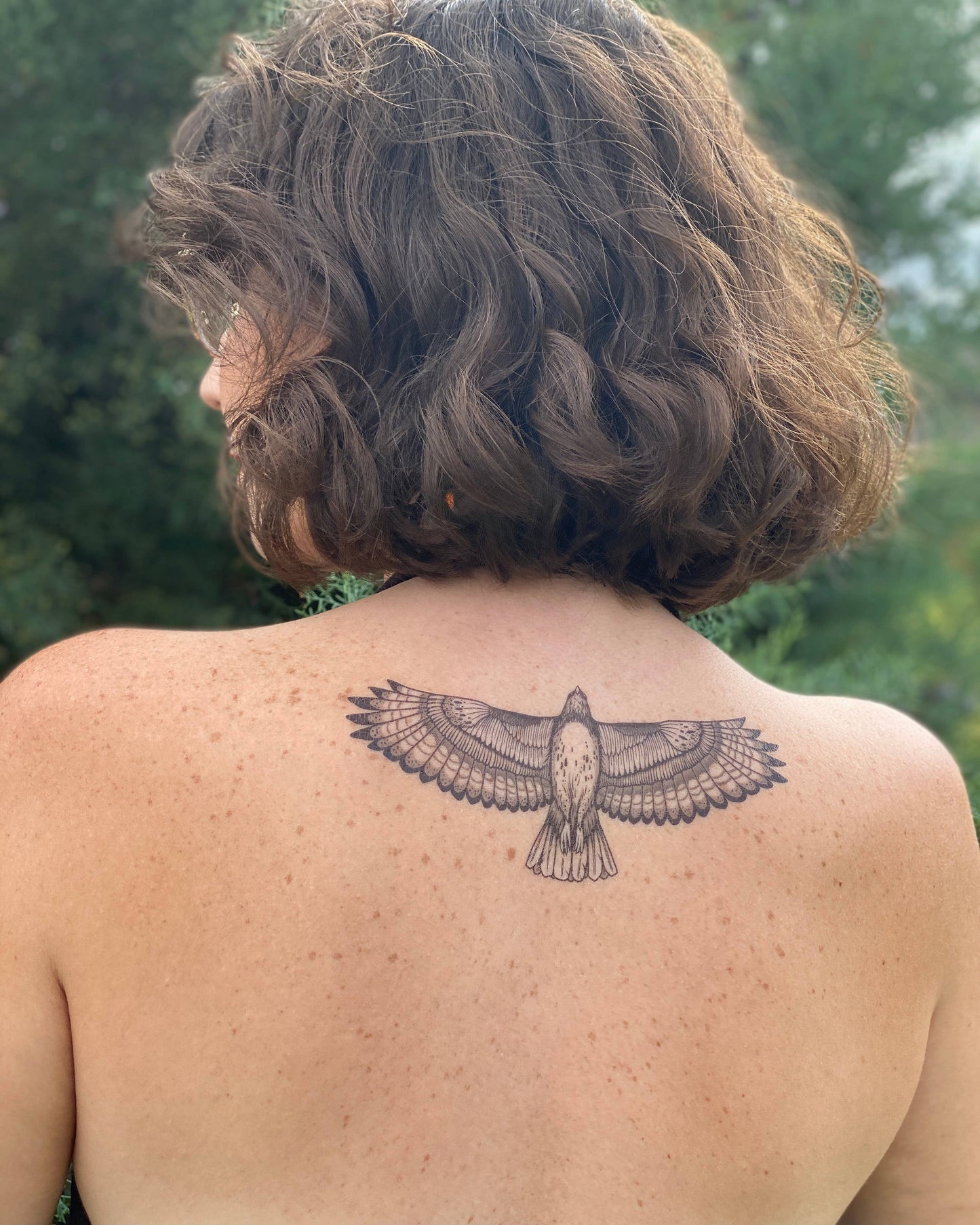 Hawk Temporary Tattoo