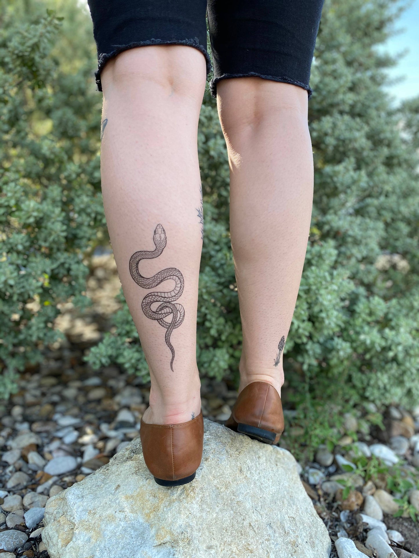 Garden Snake Temporary Tattoo